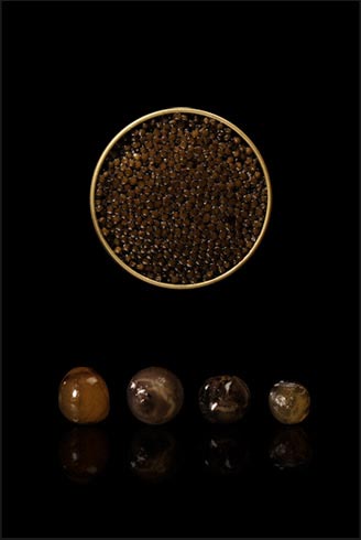 CT Oceane : Le caviar - D’élevage (Osciètre…)
