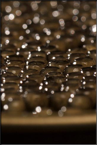 CT Oceane : Le caviar